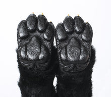 Load image into Gallery viewer, CUSTOM Canine Paws
