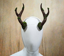 Load image into Gallery viewer, Mossy Medium Antlers
