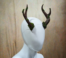 Load image into Gallery viewer, Mossy Medium Antlers
