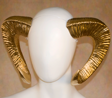 Load image into Gallery viewer, Lightweight Costume Ovis Horns
