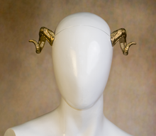 Load image into Gallery viewer, Lightweight Costume Ram Horns
