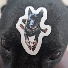 Load image into Gallery viewer, Uncanny Dog Magnet [FREE SHIPPING]
